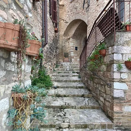 Sogni D'oro *
